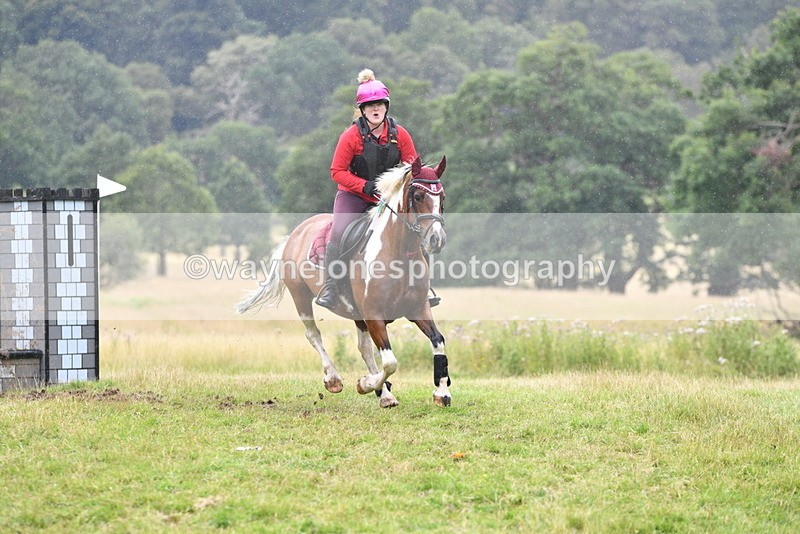 WJ5_2917 - Time at Jump 14:47 to 15:17
