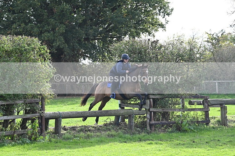 WJ7_0954 - Time 14:27 to 15:11