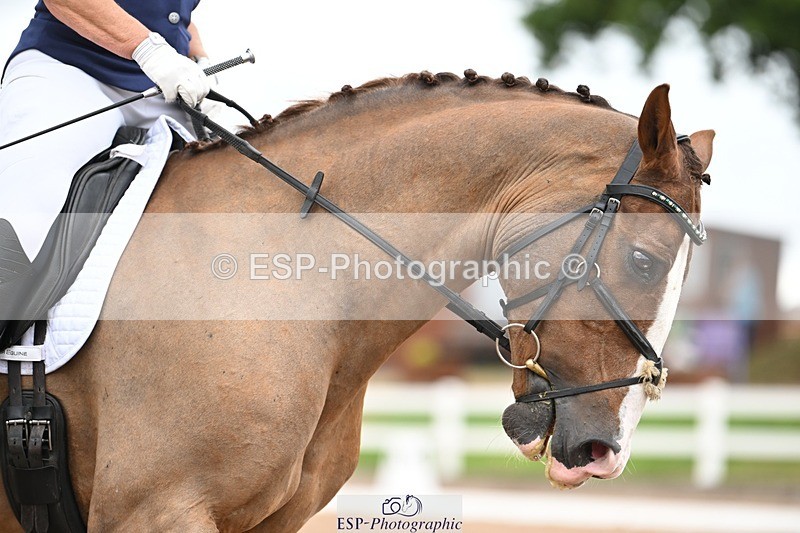 250705-175532-03053 - N3 Section BDNOV3 15.55 to 17.19