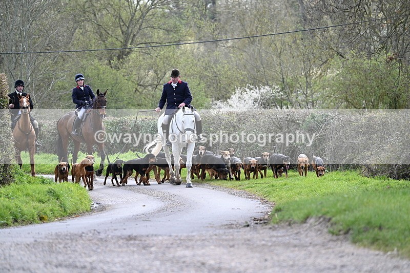 WJ7_9752 - Walk Home