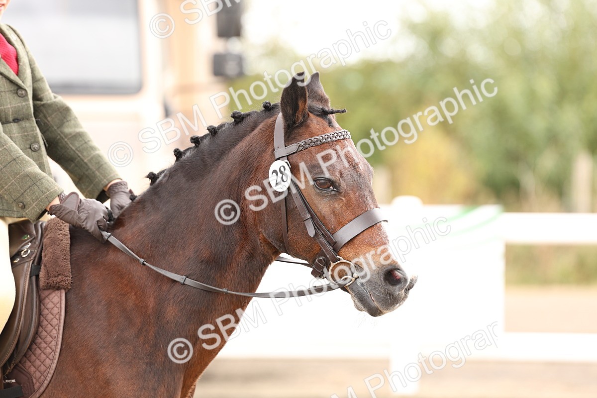 SBM_02891 - Class 53 - Ridden Competition Horse/Pony