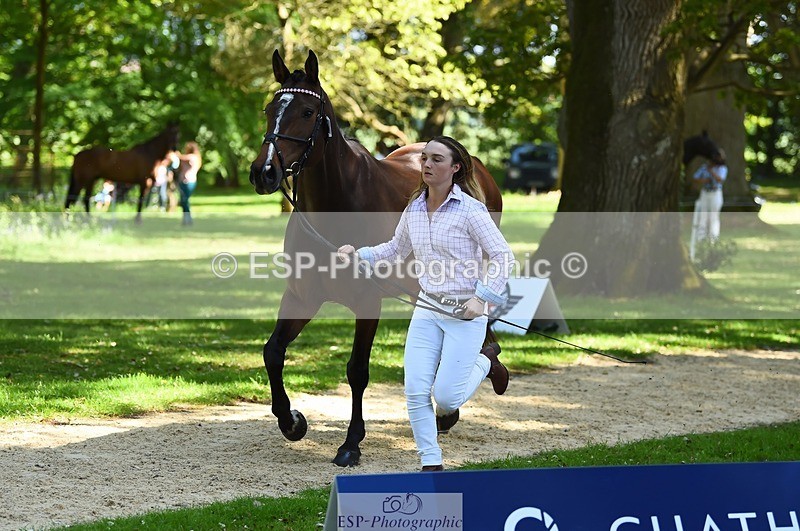 230524-152826-00289 - 379-QUIZICAL_Z-Alice_Hallows-WEDTrotUp+DR