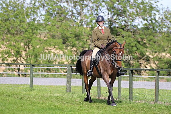 SIAL6948 - Ring 1 & 3