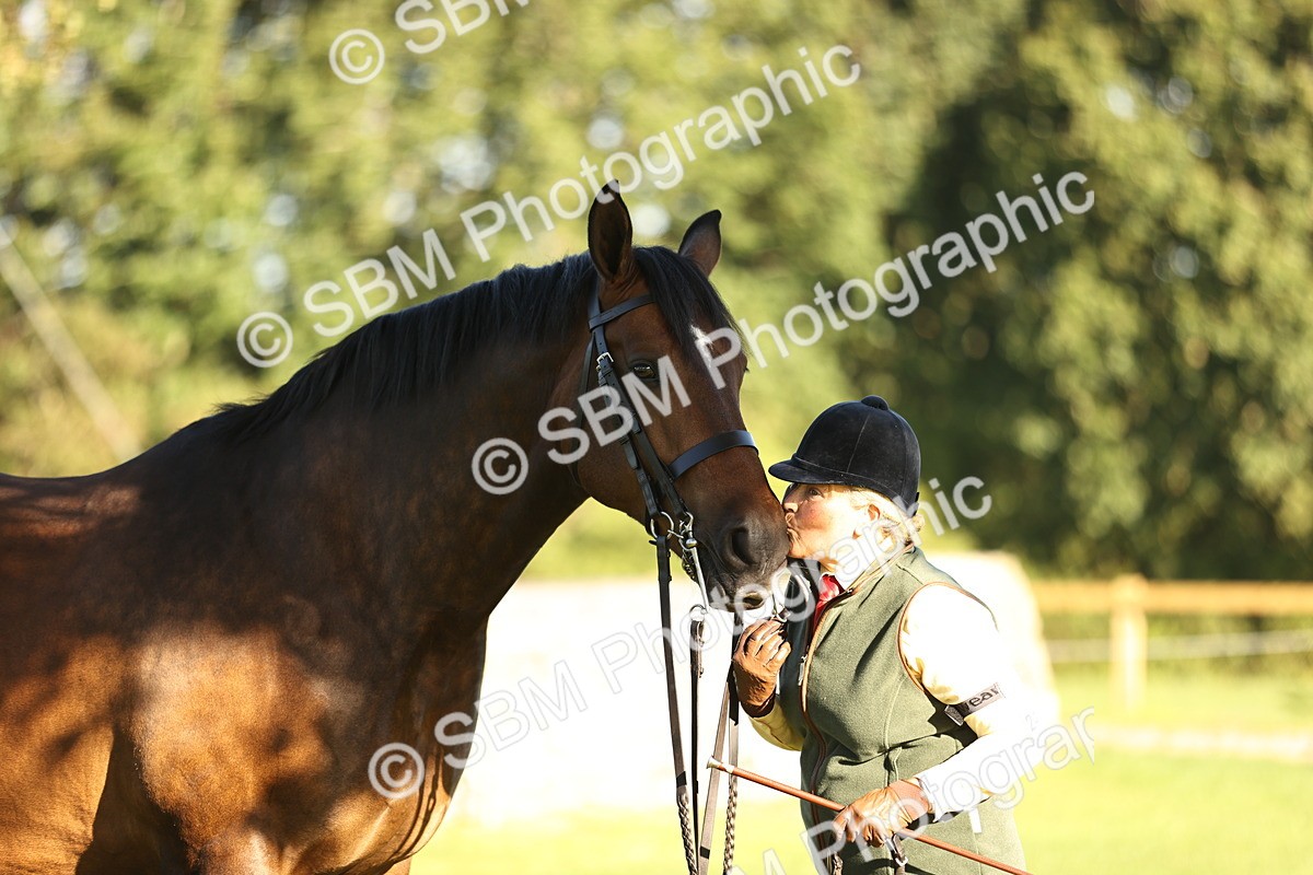 SBM_15741 - S1 - TSR in Hand Horse & Pony Showing