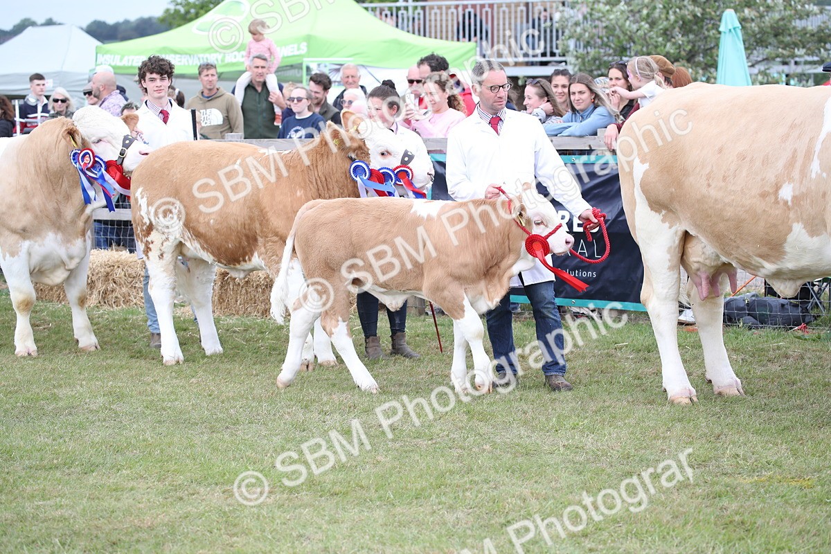 SBM_07861 - Grand Parade