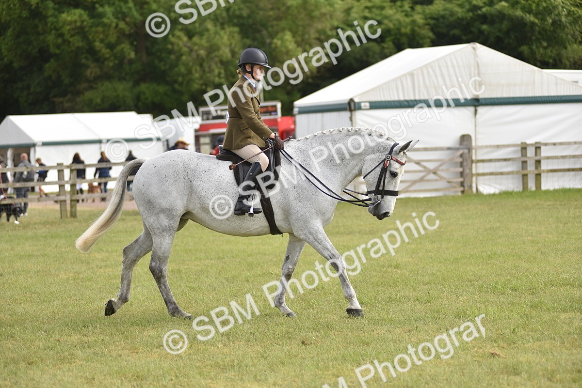 SBM_18131 - Class 122-123 - LIHS BHSA Raising Star Style and Performance Series