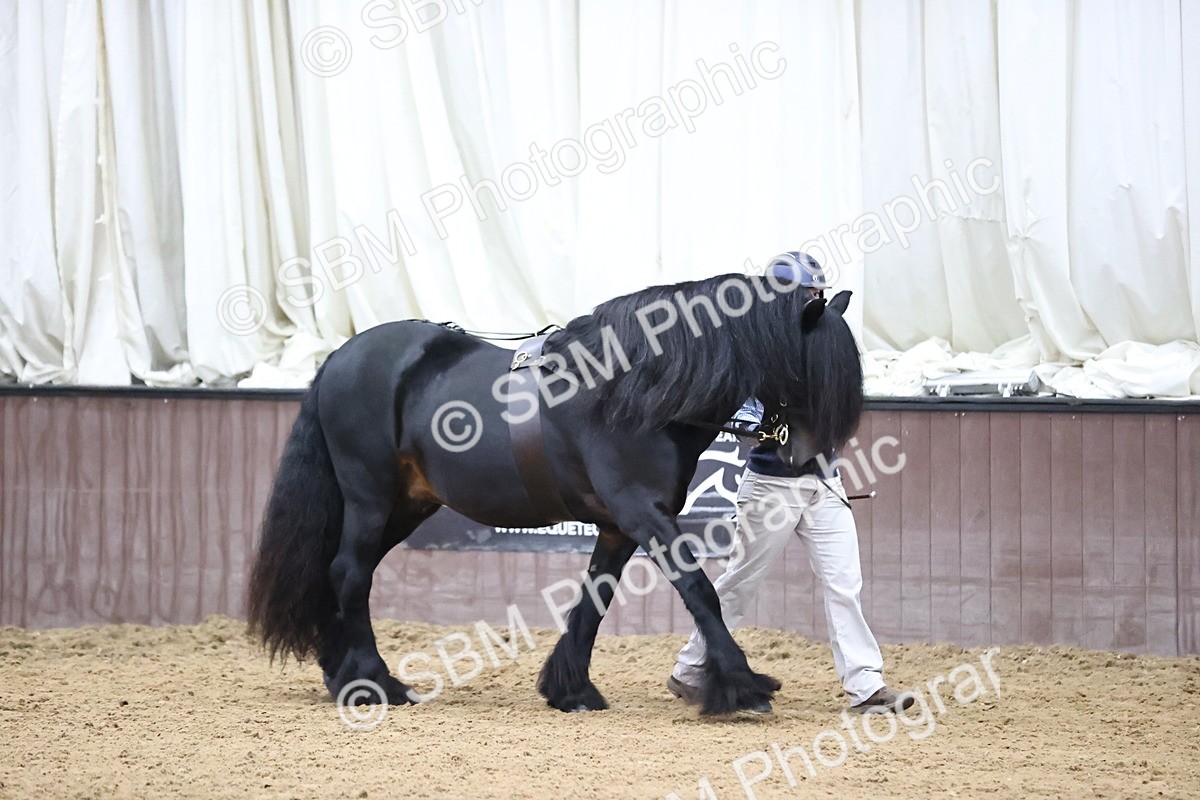 SBM_5247 - Class 32 - In Hand Cob Type