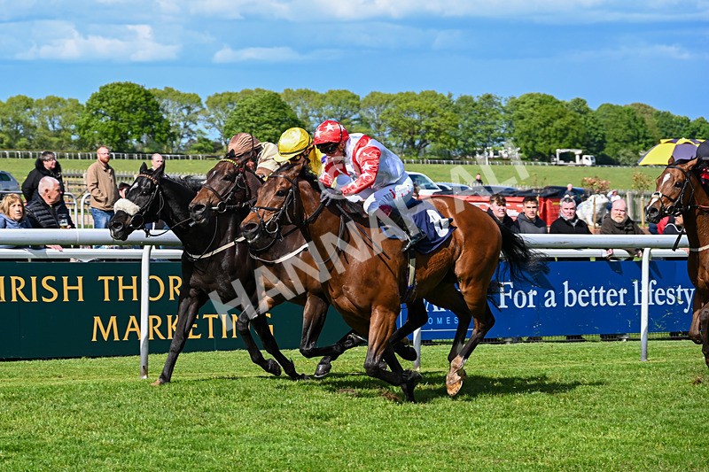 120526-Race 4-Dandy Dinmont-8278 - Race 4 4.00pm Annie Oxtoby Memorial Handicap
