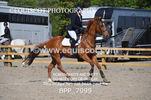 BPP_7999 - CLASS 2 Club/ Unaffiliated 80cms Open