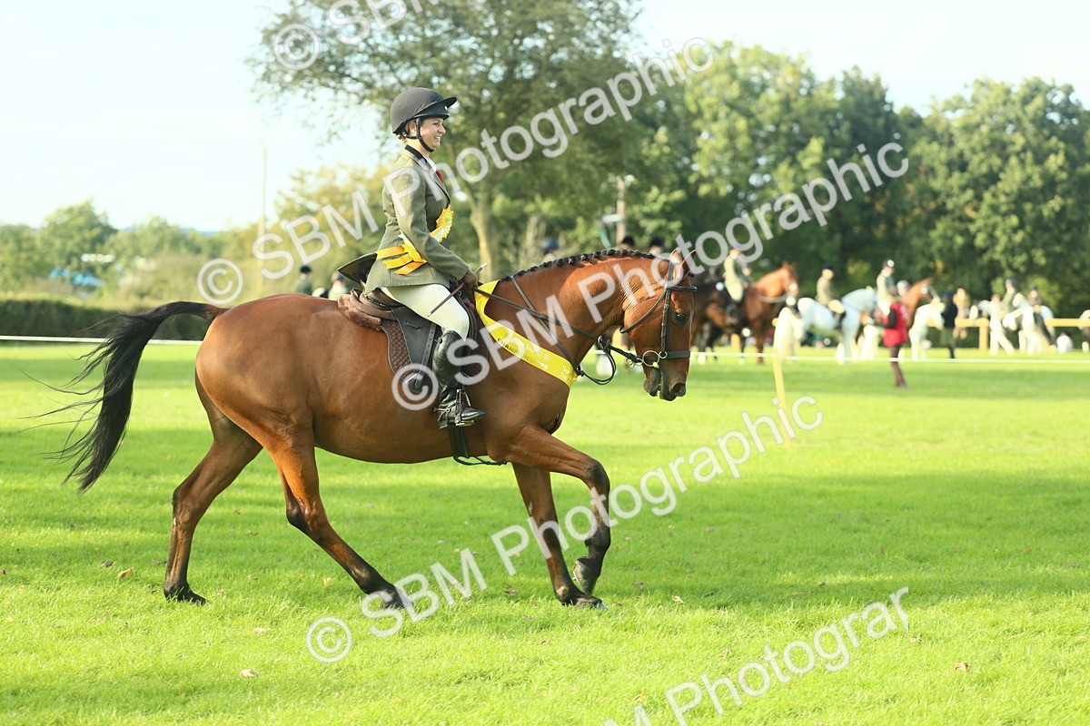 SBM_52275 - Working Hunter Supreme Championship