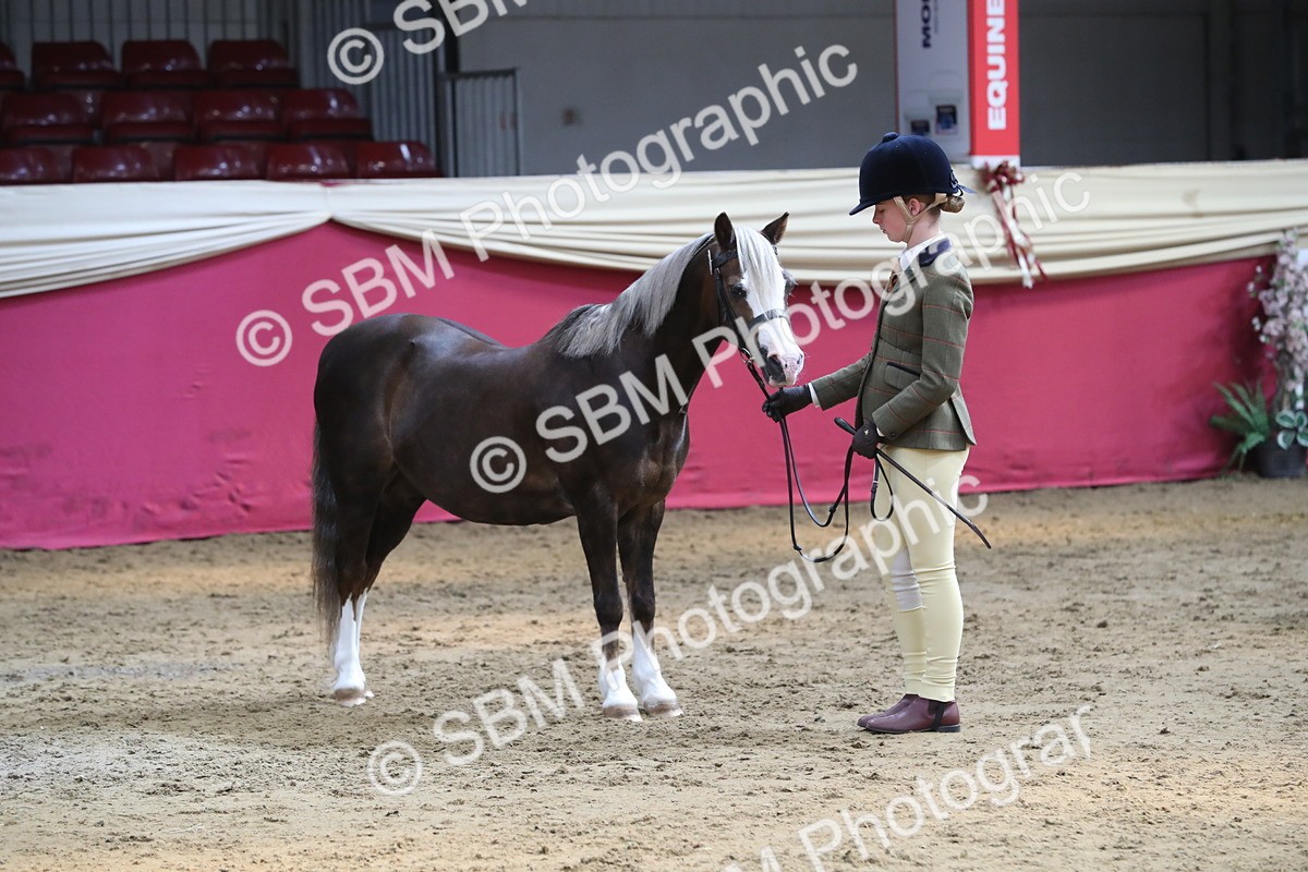 SBM_06554 - Regional IH Champ