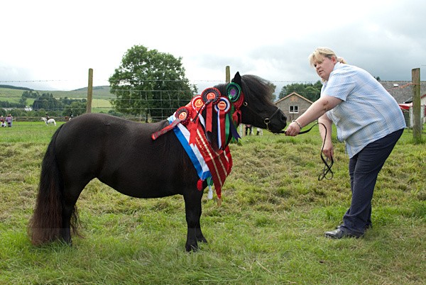 29 - Moniaive Horse Show 2010