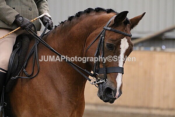 SIAL2699 - Sunday 14th Ridden