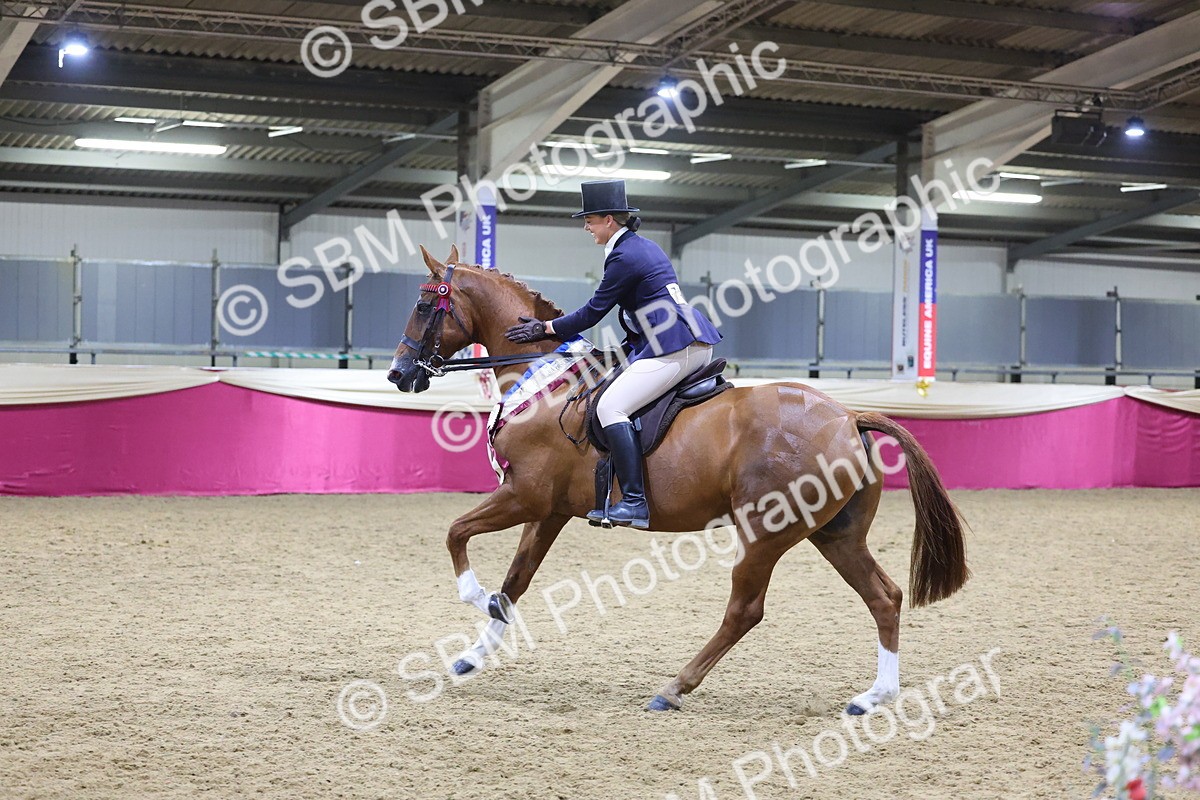 0B8A4505 - Class O Ridden Show Horse Champ