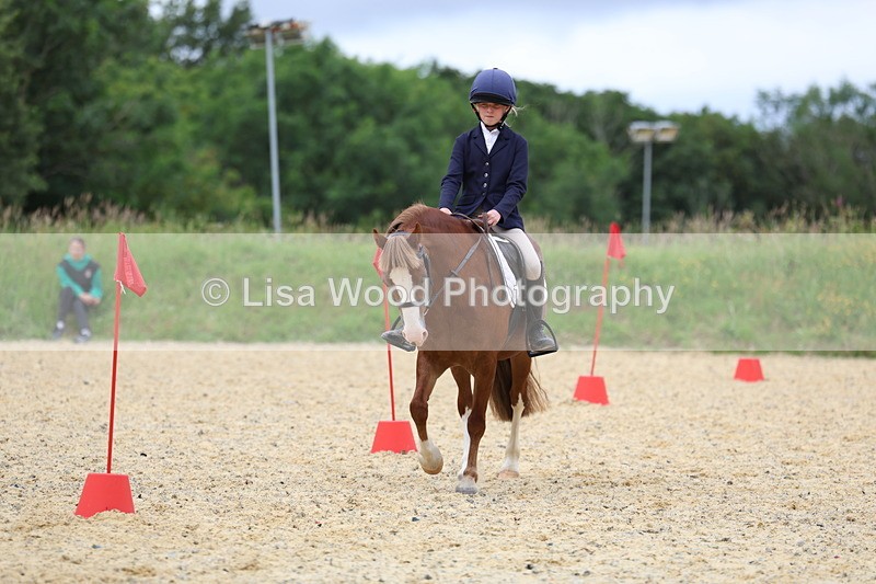 3E7A9655 - Walk trot run