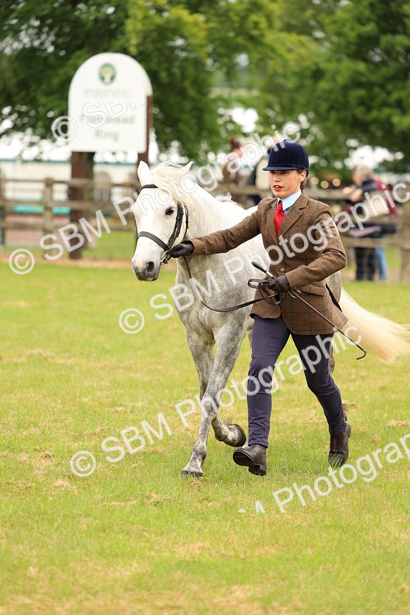 SBM_04207 - Class 64-67 - Shetland Pony In Hand