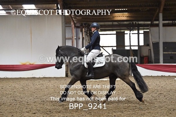 BPP_9241 - ELEM 6