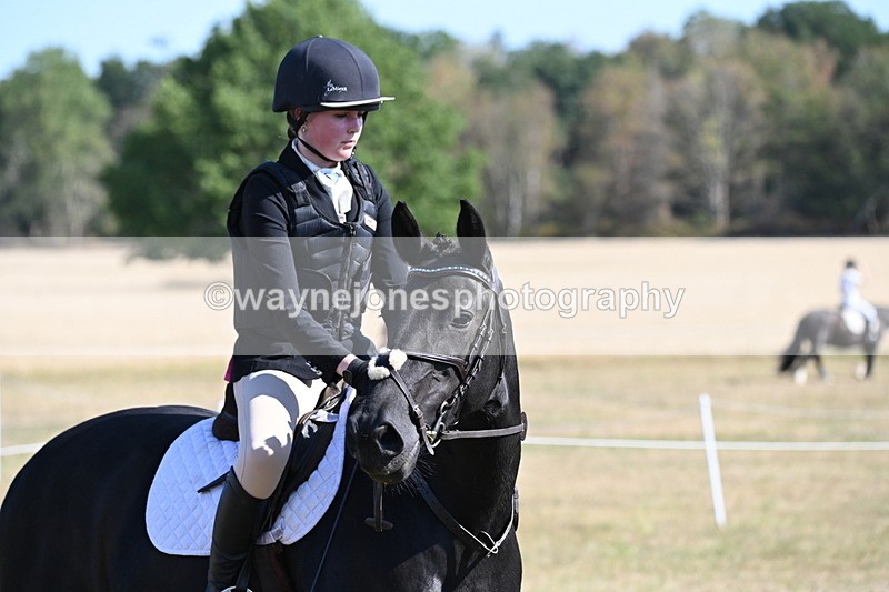 WJ6_7614 - Class 34 Judges Choice