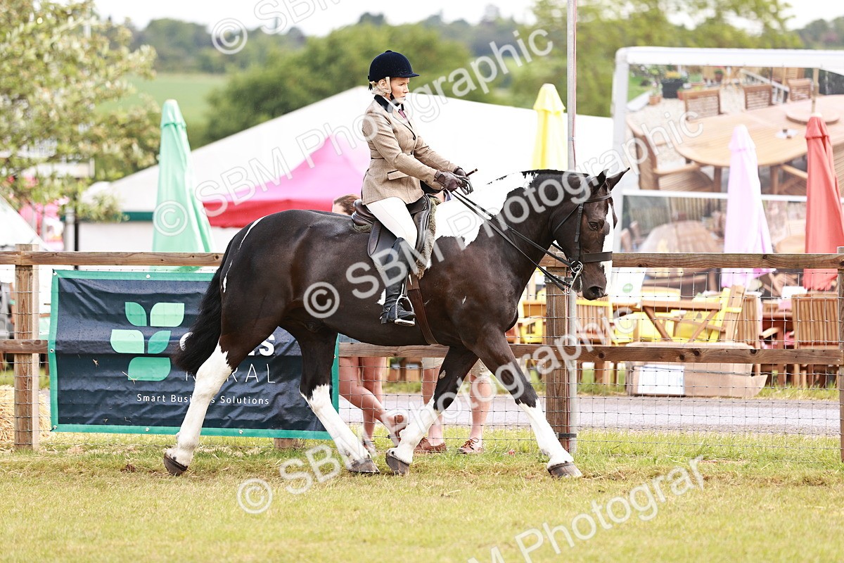 SBM_13075 - Class 85-87 - RIHS Cobs