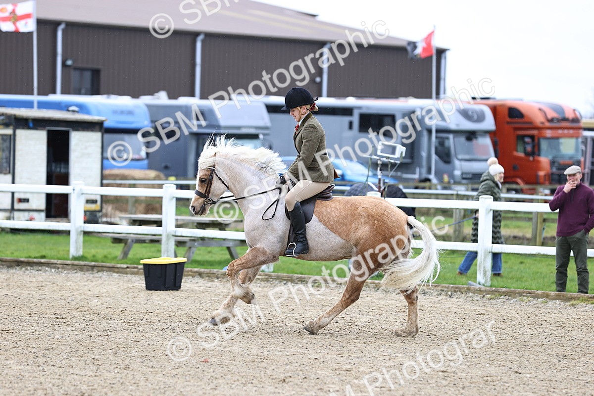 SBM_006998 - Class 29 - 30 - M&M Pure Novice Small-Large Breeds