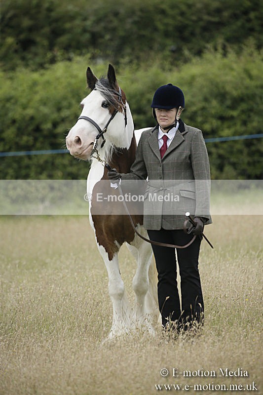 B230619-0059 - Bourne Valley Riding Club Summer Show 23/06/19