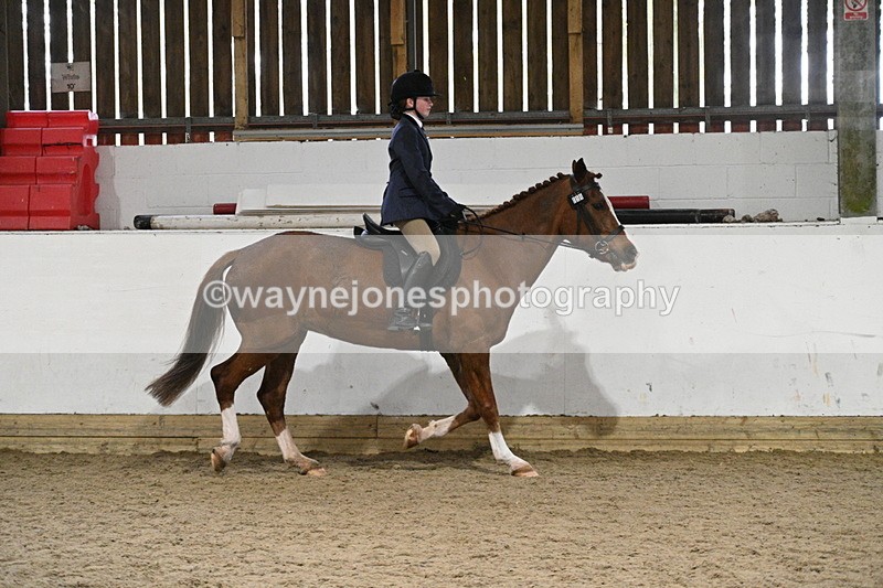 WJ7_4112 - Class 17 Ridden Cob