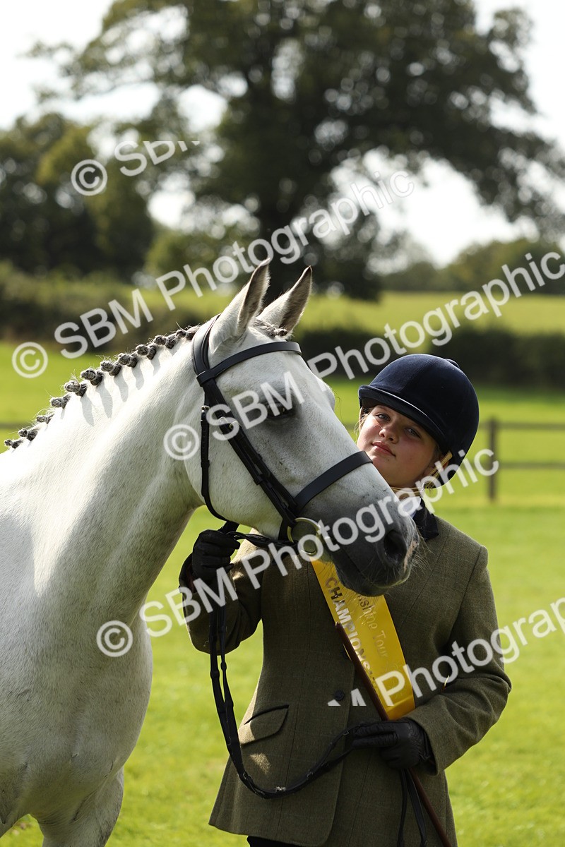 SBM_66320 - In Hand Pony & Youngstock Supreme Championship