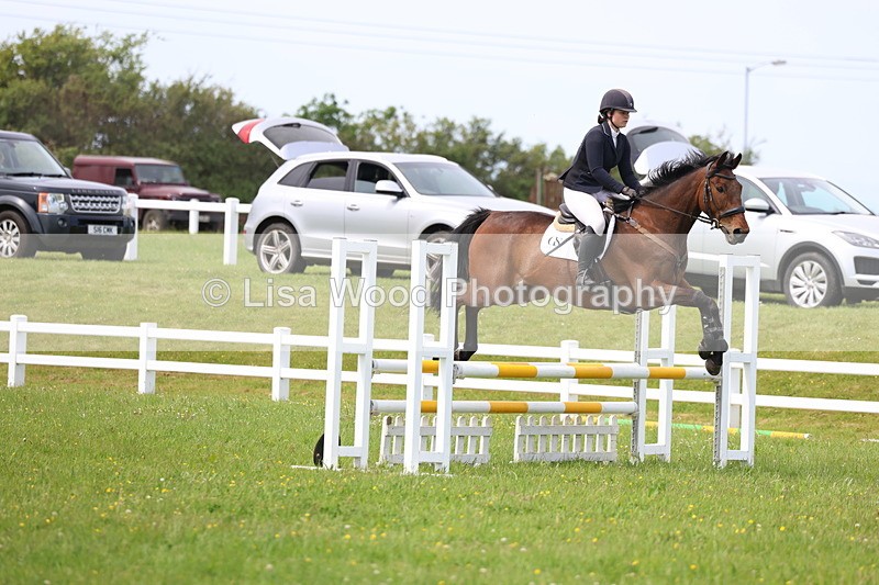 3E7A1604 - Class 13: Senior British Novice/90cm open