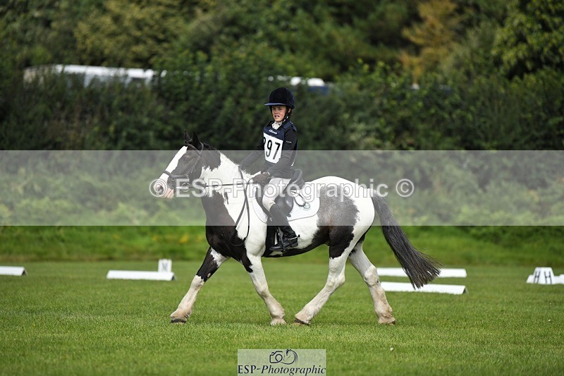 230826-112937-15882 - Sections C & D 10 to End