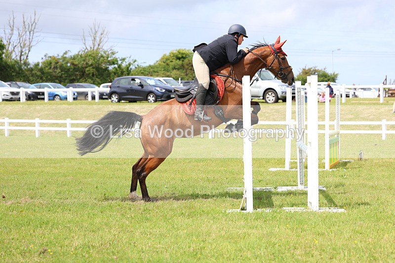 3E7A7475 - Class 13: Senior British Novice/90cm open