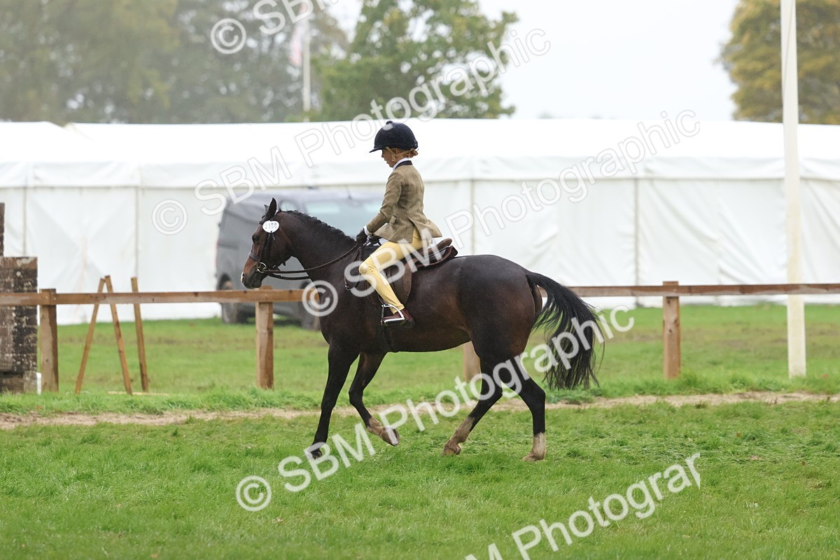 SBM_73022 - S63 Show Pony & Show Hunter Pony Ridden