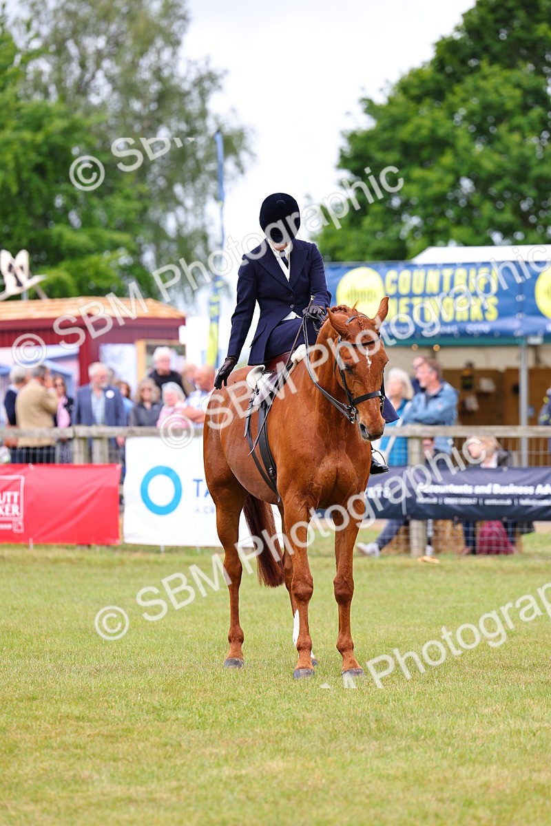 SBM_02953 - Class 9-11 Side Saddle including LIHS Rising Star Ladies Show Horse