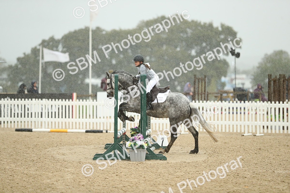 SBM_34297 - J60 Clear Round 50cm