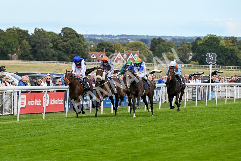 160926-Race 2-Northern Viola-9687 - Race 2 2.43pm Young Guns Nursery Handicap