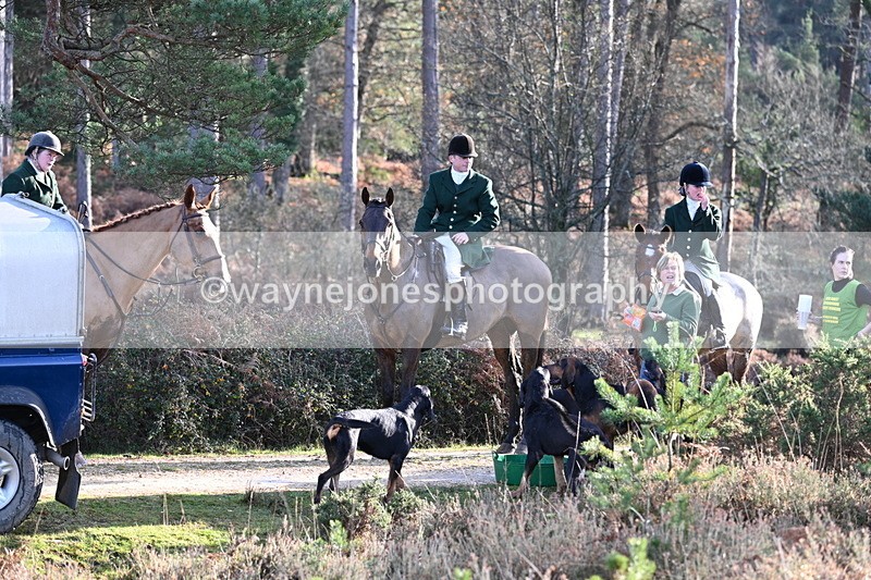 WJ7_7444 - Line 3 (no line 4 or 5)