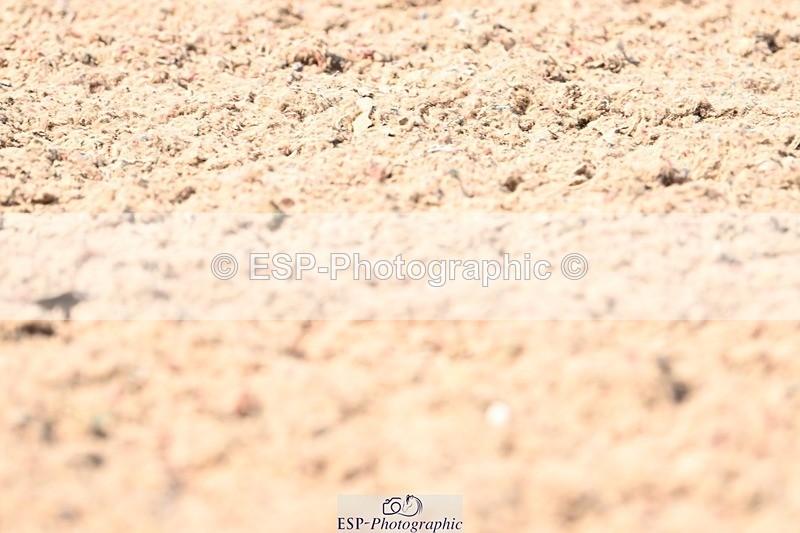 250620-155035-03984 - BD Cls 11 - Medium 6, Start to 16.30pm