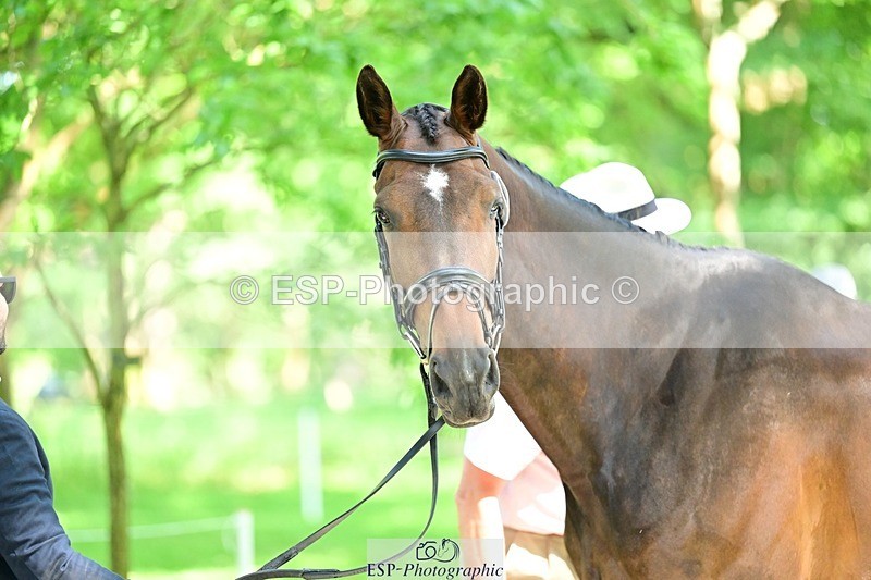 260527A-153122-01247 - C-390-Marcio.Appel