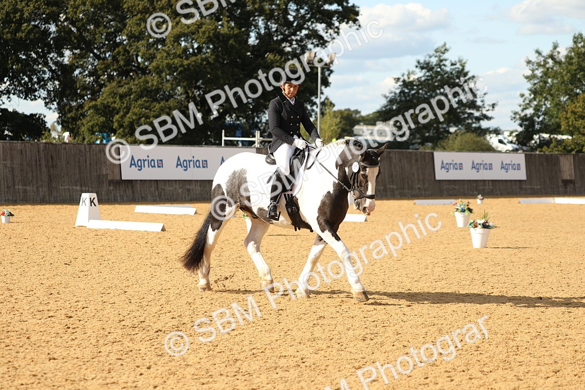SBM_26692 - D17 - Grand Tour Championship - Novice 27