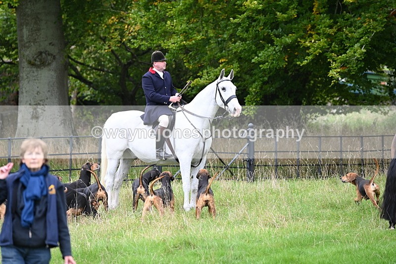 WJ6_0122 - Camera 2 Meet