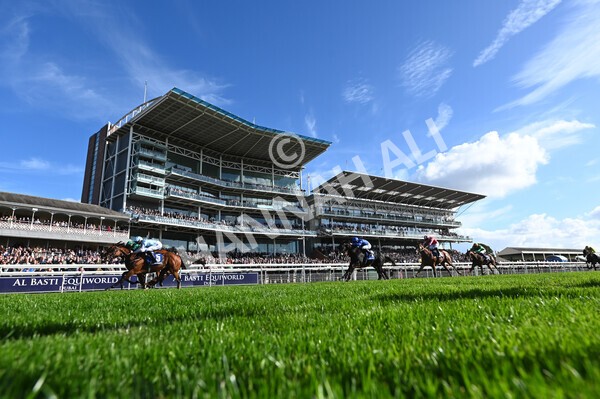 yr08102022r2-30 - Race 2 2.05pm The Coral Rockingham Stakes