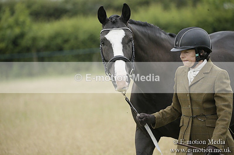 B230619-0243 - Bourne Valley Riding Club Summer Show 23/06/19