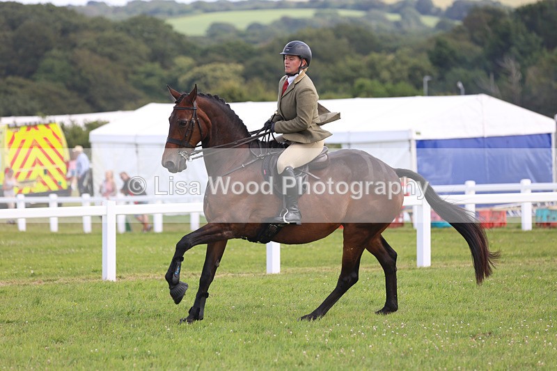 JPP_3784 - Class 23: Working Hunter 80cm