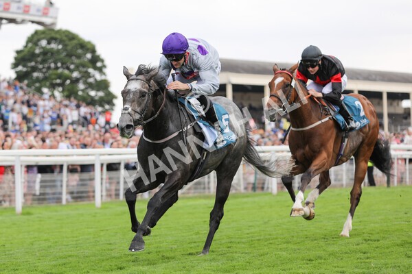 yr23072022r6-28 - Race 6 5.00pm Sky Bet Partnership with Support Dogs Stakes