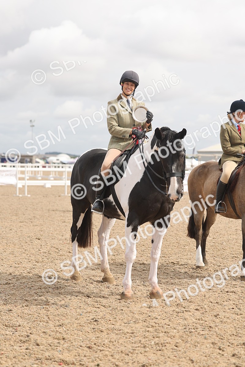 SBM_04570 - Class 19 - Horse/Pony Judge would most like to take home