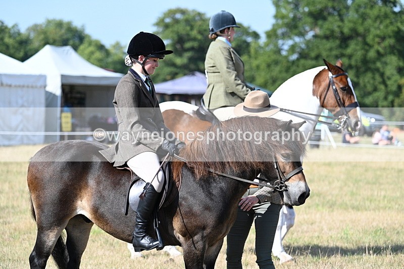 WJ7_2874 - Class 8 Ridden Tack & Turnout