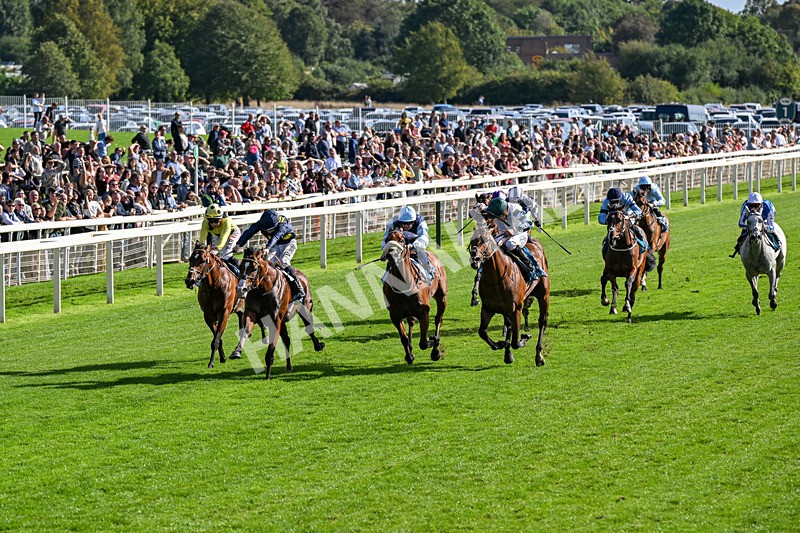 060926-Race 5-Extremely Zain-0304 - Race 5 3.50pm Starman At Tally Ho Stud Garrowby Stakes