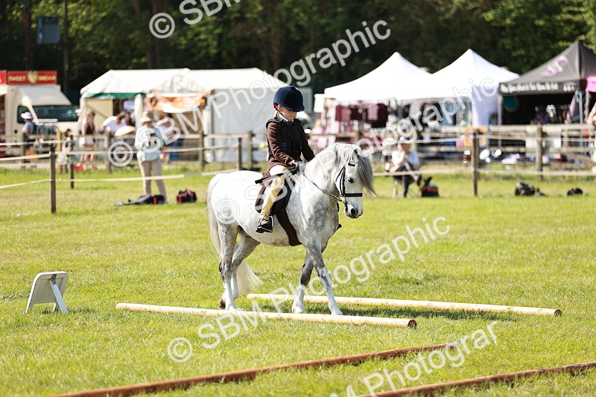 SBM_12775 - Class 106-107 - BSPS LIHS Working Sports Pony