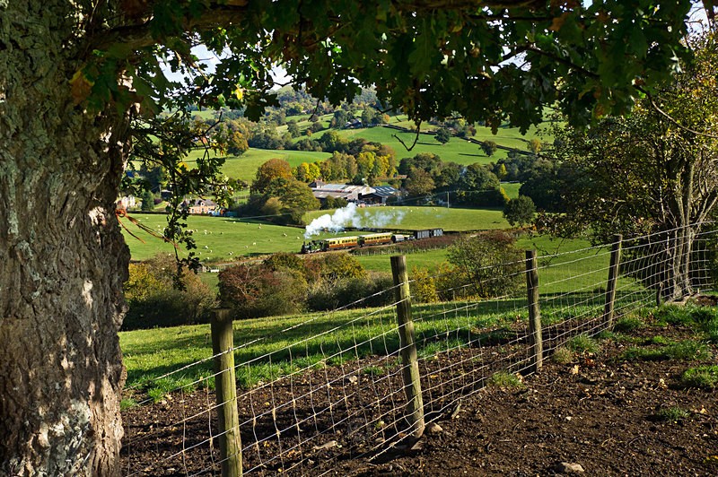 A glimpse - Trains of Thought