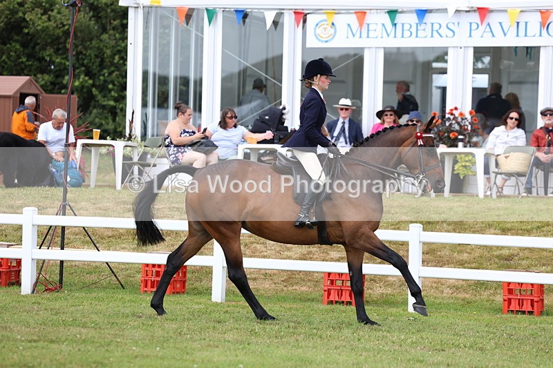 3E7A0541 - Rising Star Ridden Championship