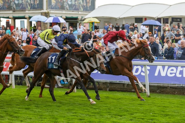 240823-Race 5-Sea Theme-5423 - Race 5 4.10pm British EBF & Sir Henry Cecil Galtres Stakes